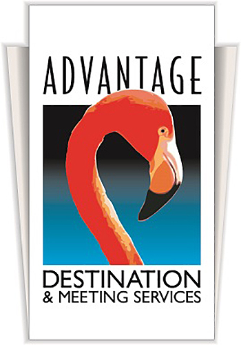 DMC_2020_Advantage_Logo.jpg