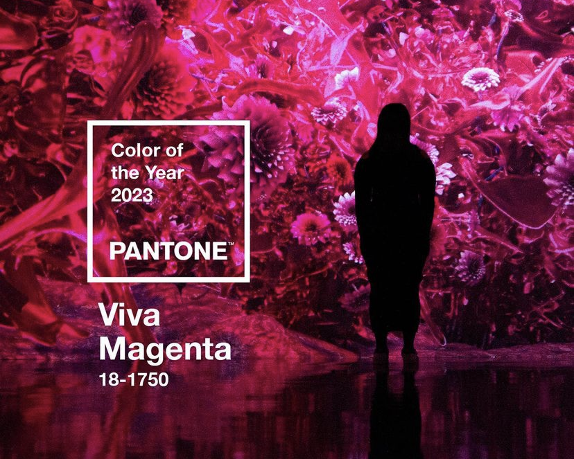 The Color of 2023 is Pantone's Viva Magenta - Blog Post