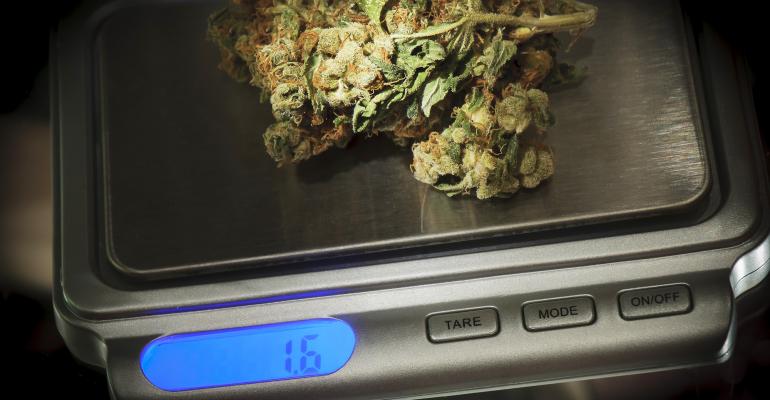 Marijuana on scale