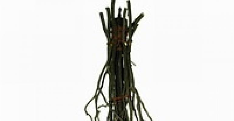 Meyda Lighting Creates Twig Custom Chandelier