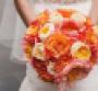 A vivid bridal bouquet from Newberry Brothers