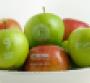 Fun to Eat Fruit offers fruit branding