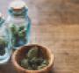 marijuana buds in vases