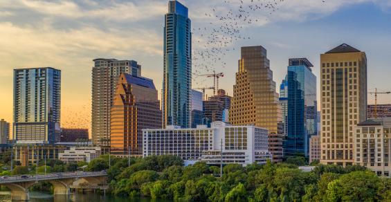 Austin Skyline with Bats.jpg