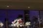 Hilton Americas-Houston Debuts Skyline Dining Room