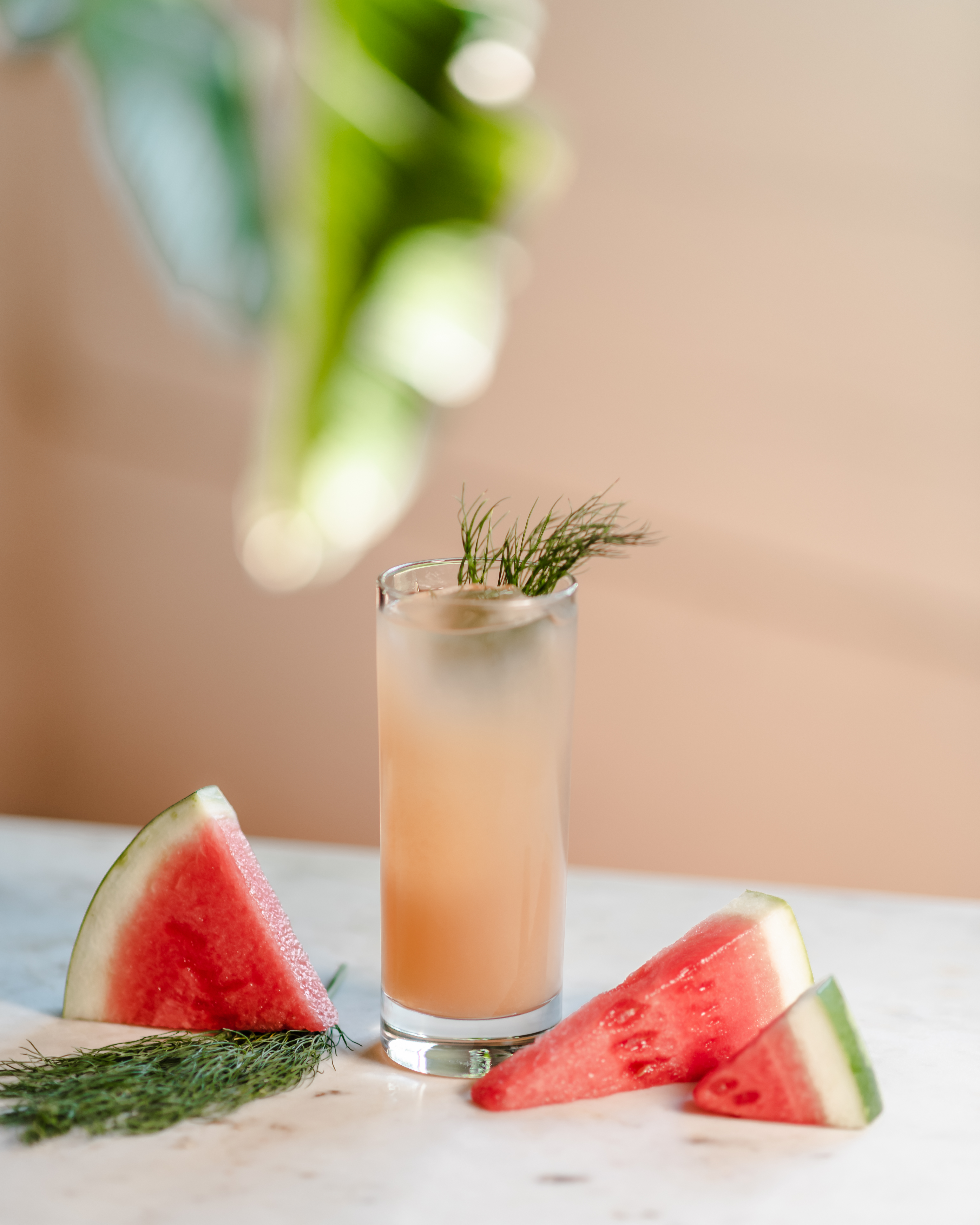 watermelon cocktail.jpg